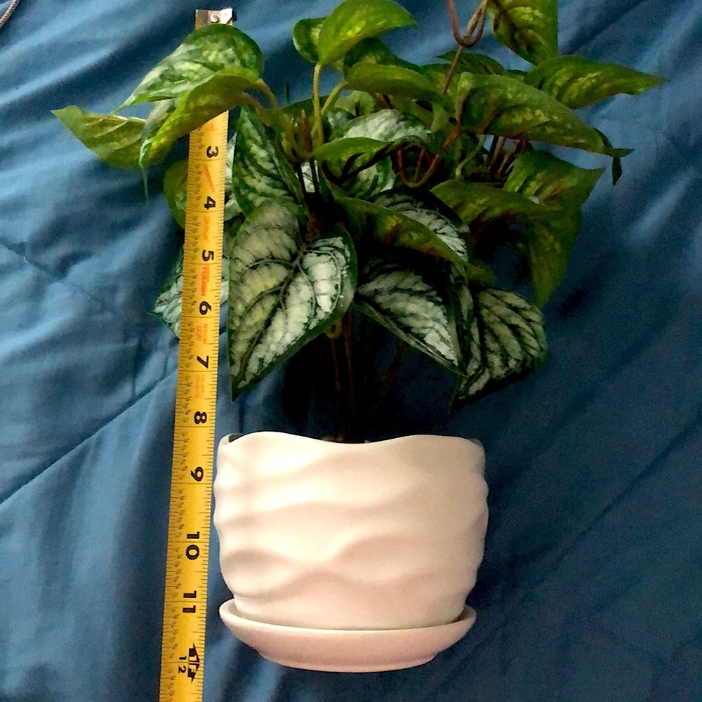 Plant decor
